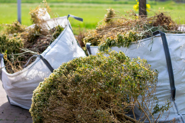 Best Furniture Removal Near Me  in Nedrow, NY