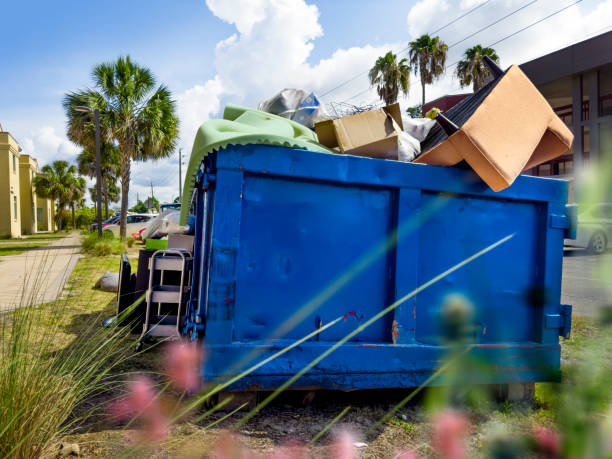 Best Local Junk Hauling  in Nedrow, NY